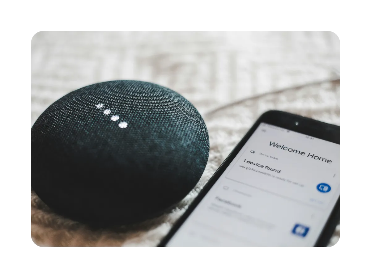 Voice search and digital accessibility